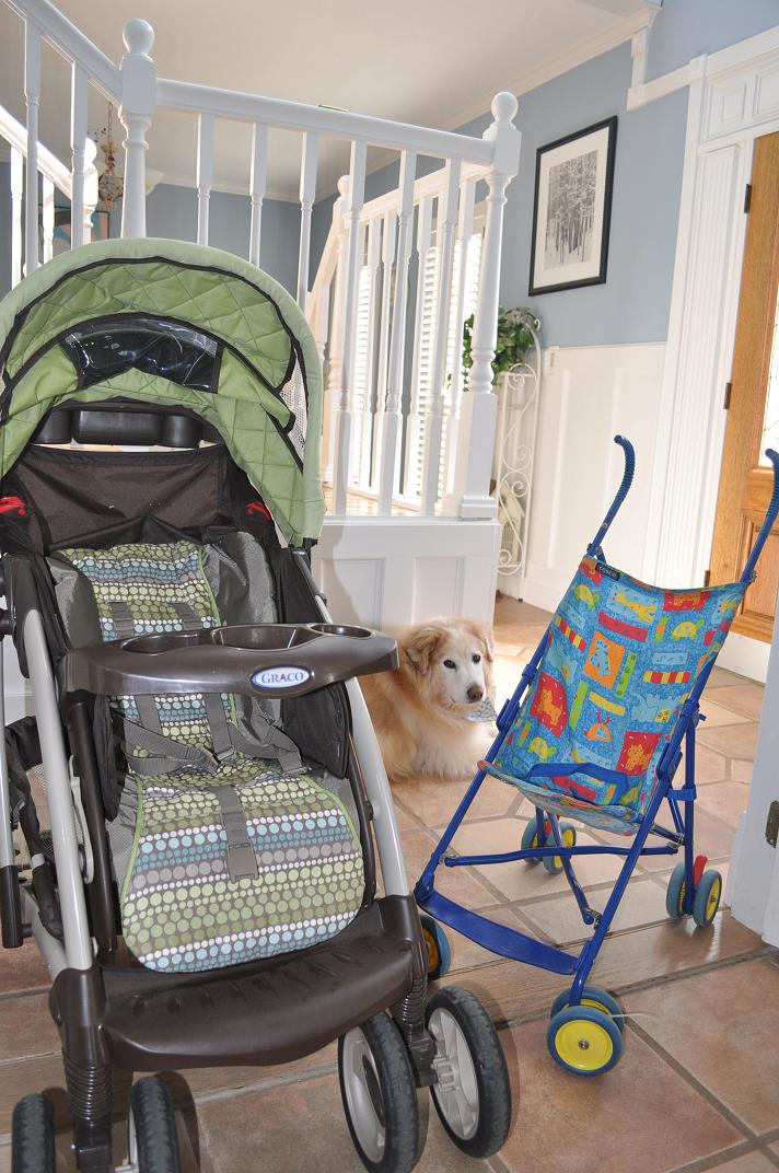 Two strollers and a dog