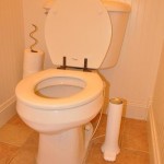 The test toilet after cleaning and install