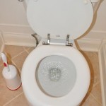 The control toilet 