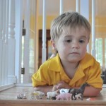 A 2 year old and his plastic animals