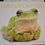 Curious Critters by David FitzSimmons