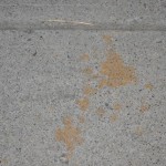 Stained concrete from salt-white vinegar