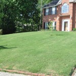 Parallel cut front lawn