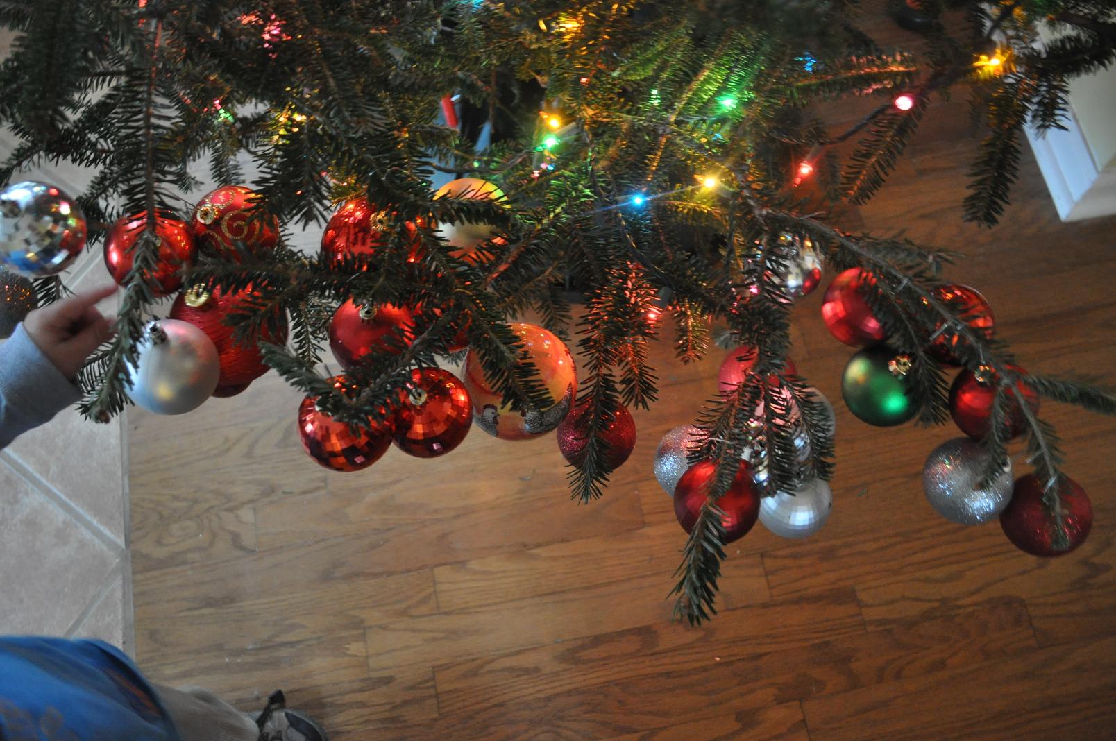 What the Christmas tree means to a 3 year old