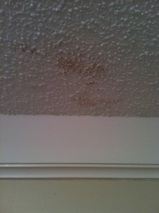 Stain in bathroom ceiling-prime it and watch it disappear.....