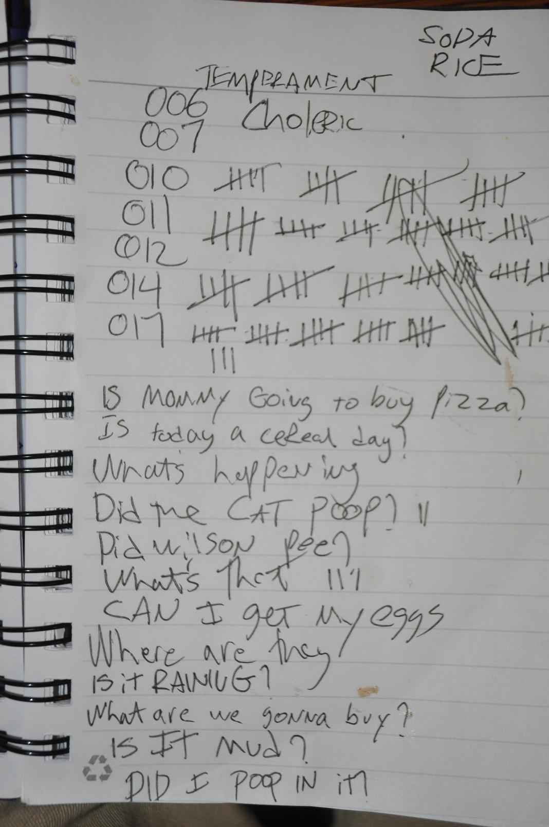 How many questions does a toddler ask in one day?