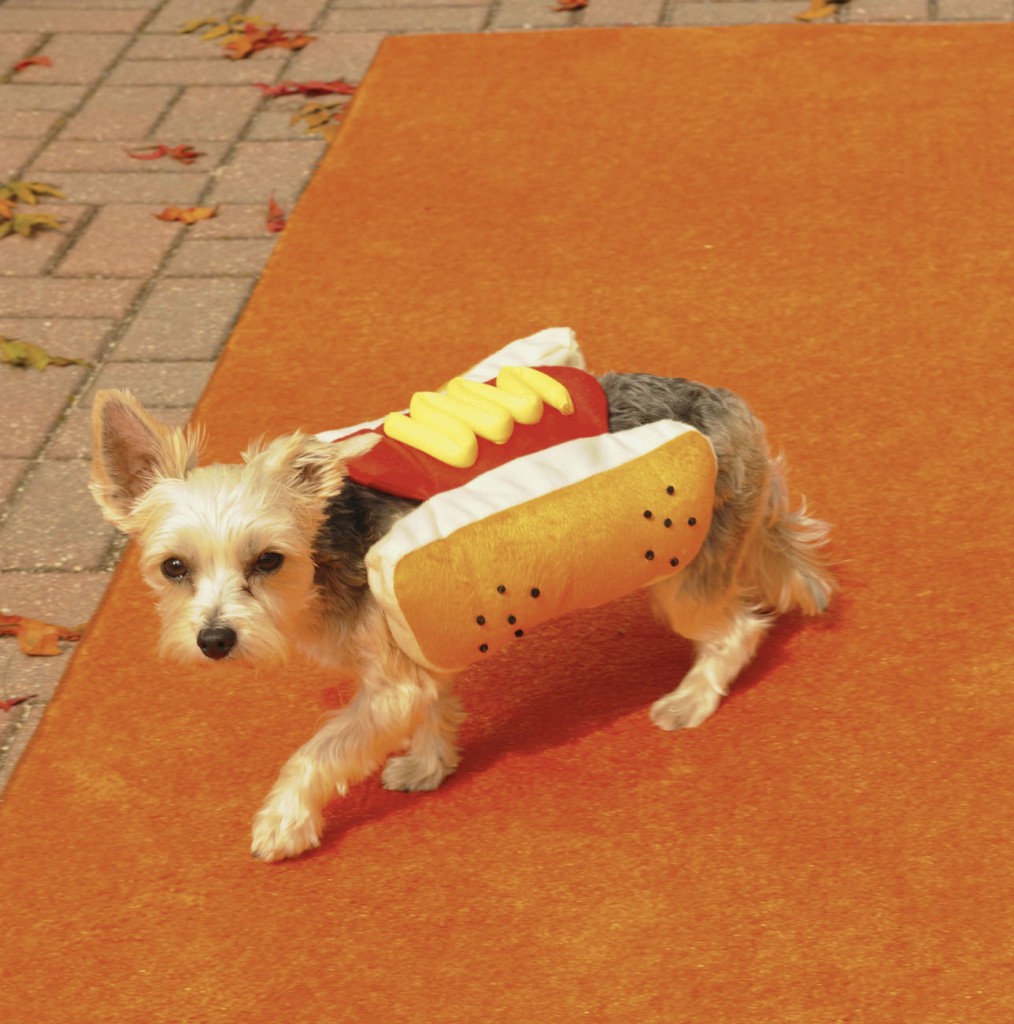 Hot Dog at Buy Costumes