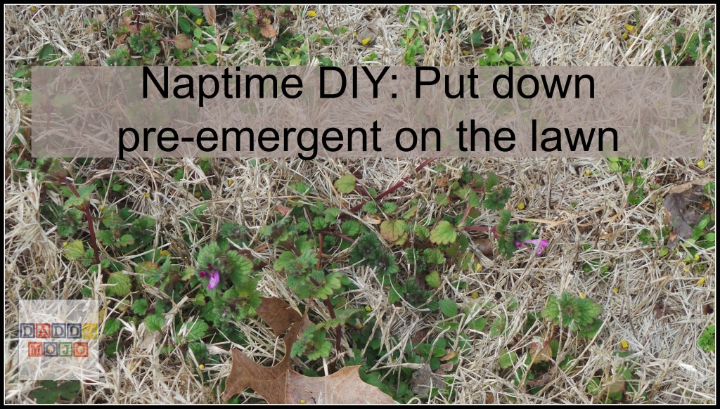 Naptime DIY:  Apply pre-emergent to your lawn