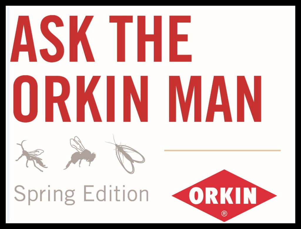 Ask the Orkin Man