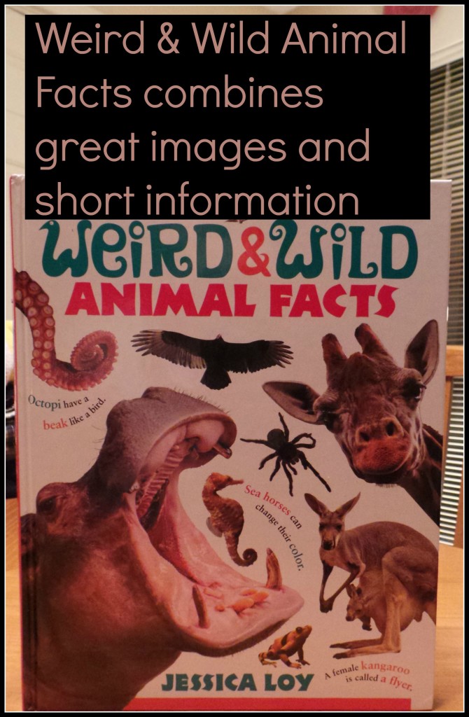 Weird & Wild Animal Facts combines great images and short information