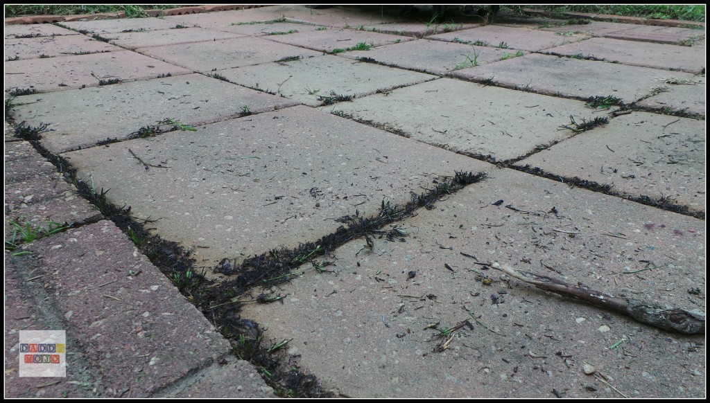 Naptime DIY: AFTER killing weeds with the BernzOmatic Lawn and Garden Torch