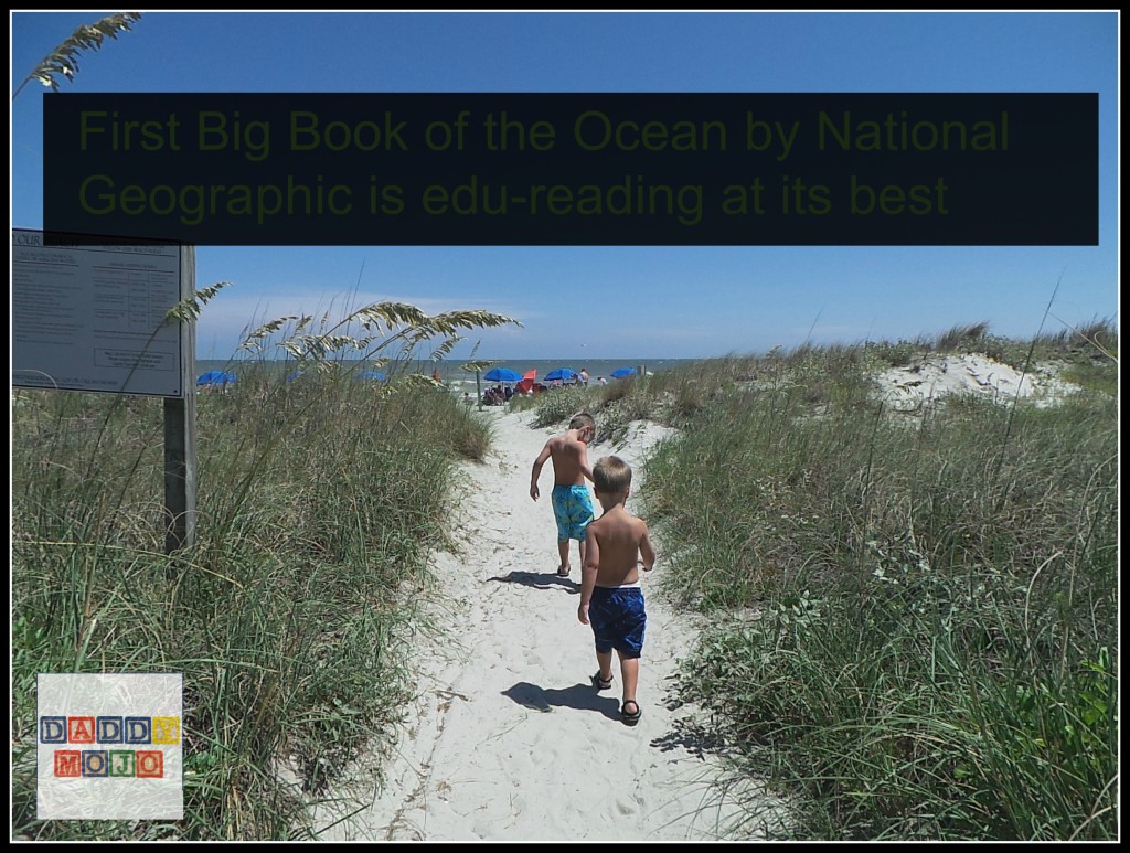 First Big Book of the Ocean is edu-reading at its best 3