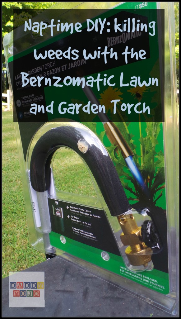 Naptime DIY killing weeds with the BernzOmatic Lawn and Garden Torch