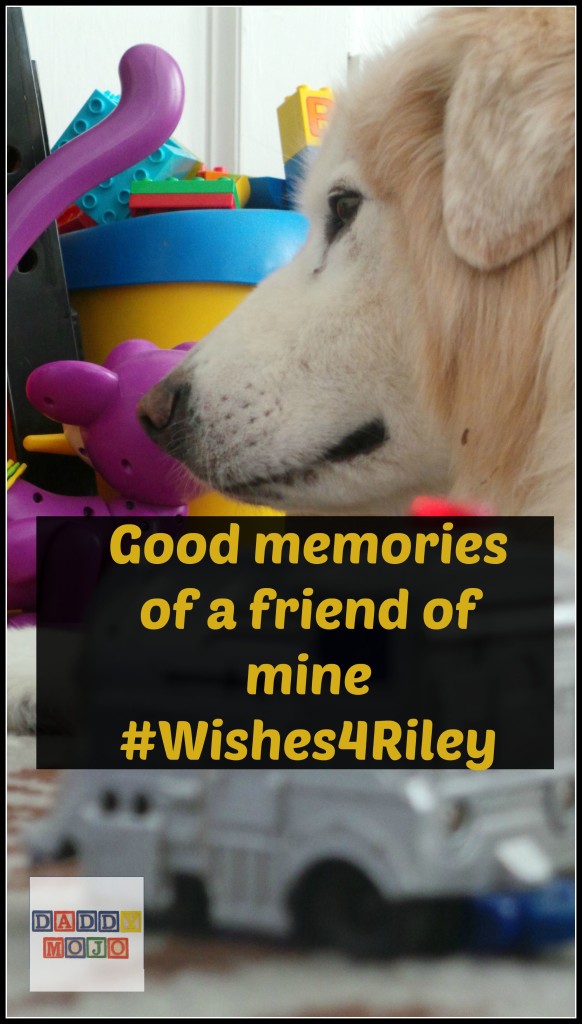 Good memories of a friend of mine wishes4Riley