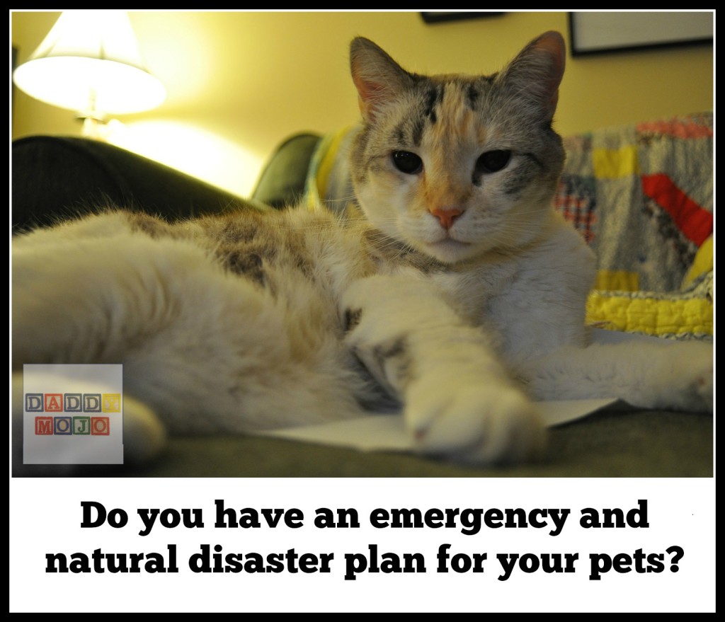 Do you have an emergency and natural disaster plan for your pets?