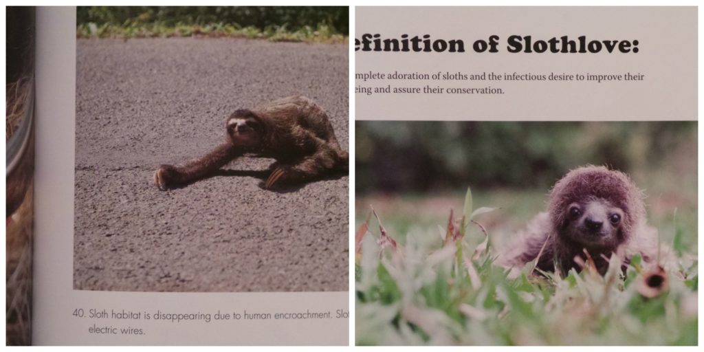  Slothlove, Sloth, KSTR, Sam Trull, sloths, book