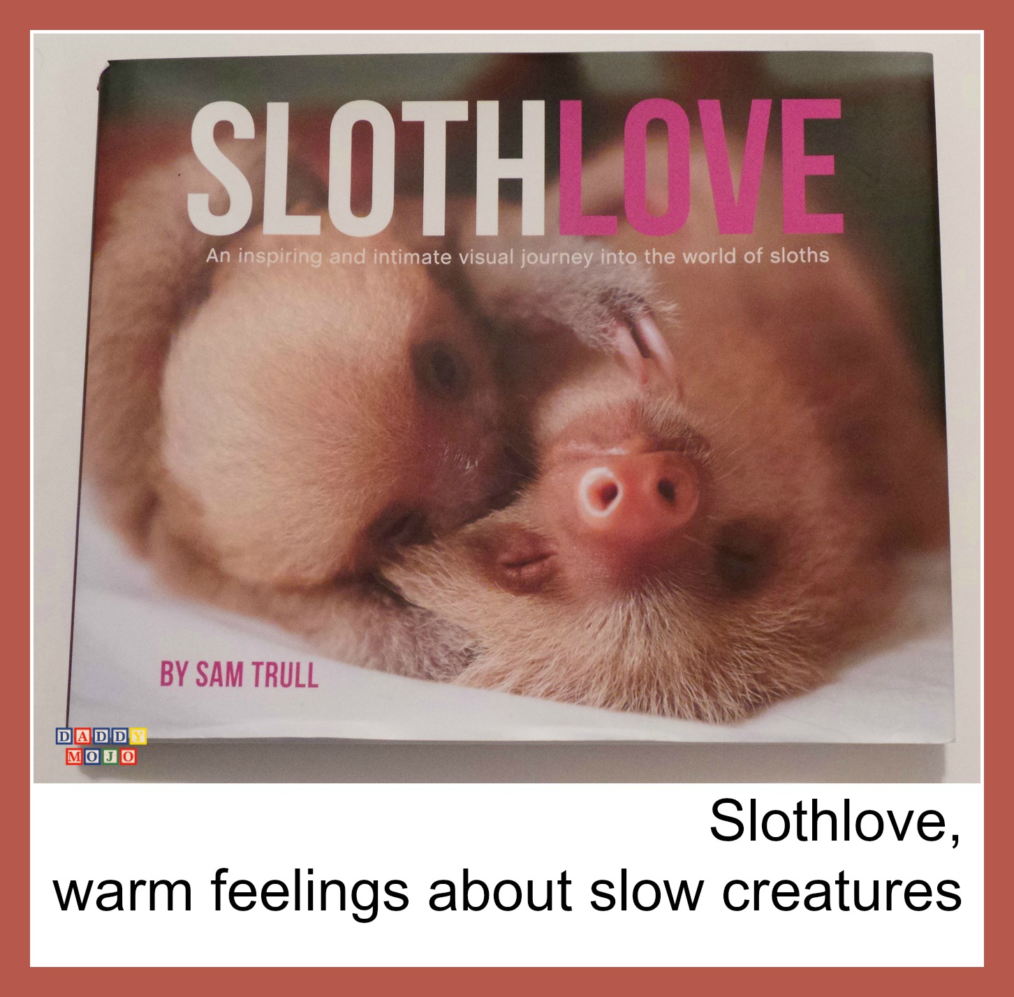 Slothlove, Sloth, KSTR, Sam Trull, sloths, book