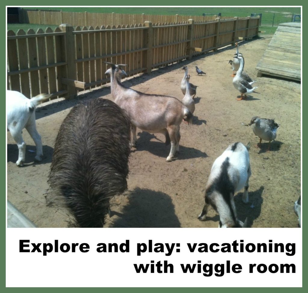 Play Goats-and-ducks-at-the-Chevron-petting-zoo-1024x768 (1)