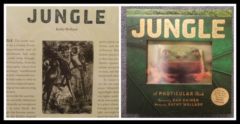 Jungle, photicular photography, jungle  a photicular book, lenticular, images, Dan Kainen,