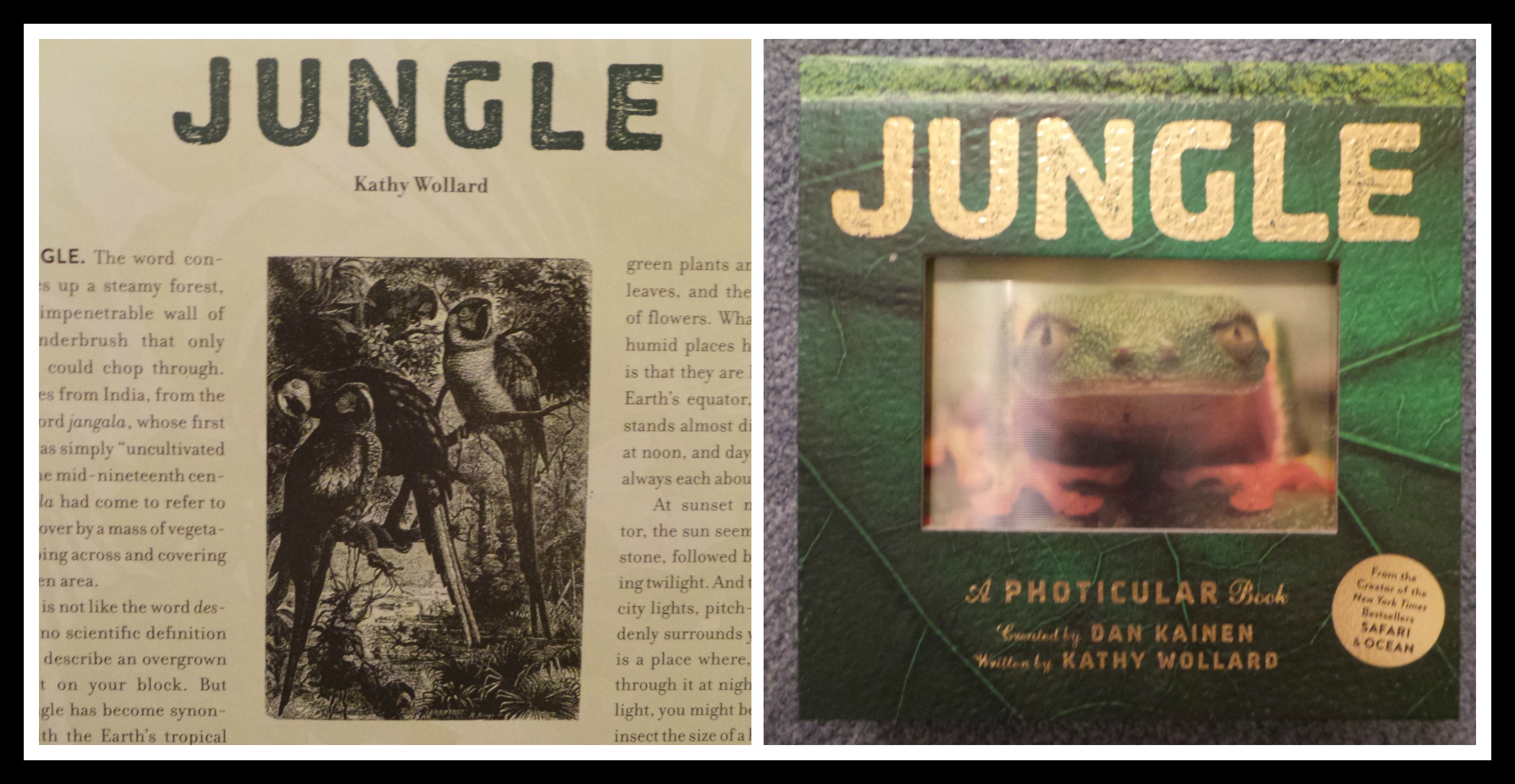 Jungle, photicular photography, jungle a photicular book, lenticular, images, Dan Kainen,