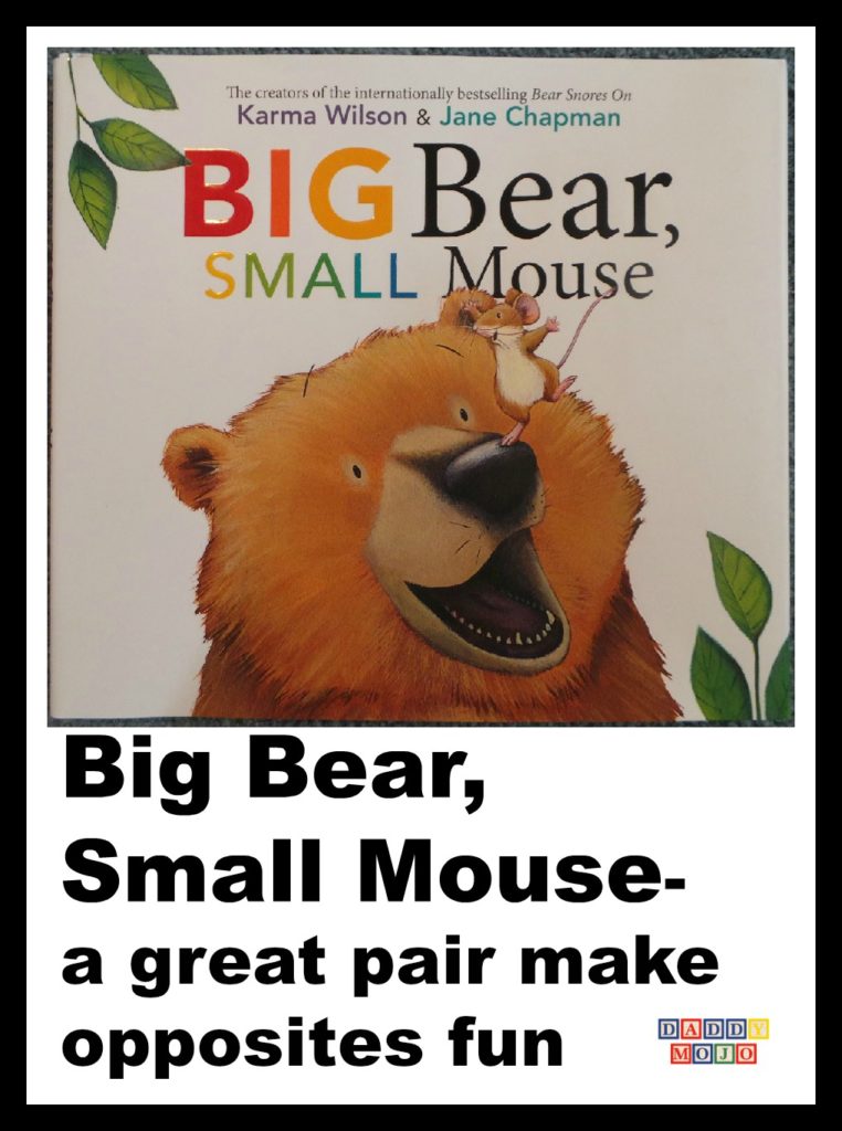 Big bear small mouse, karma Wilson, jane chapman, children’s book, team