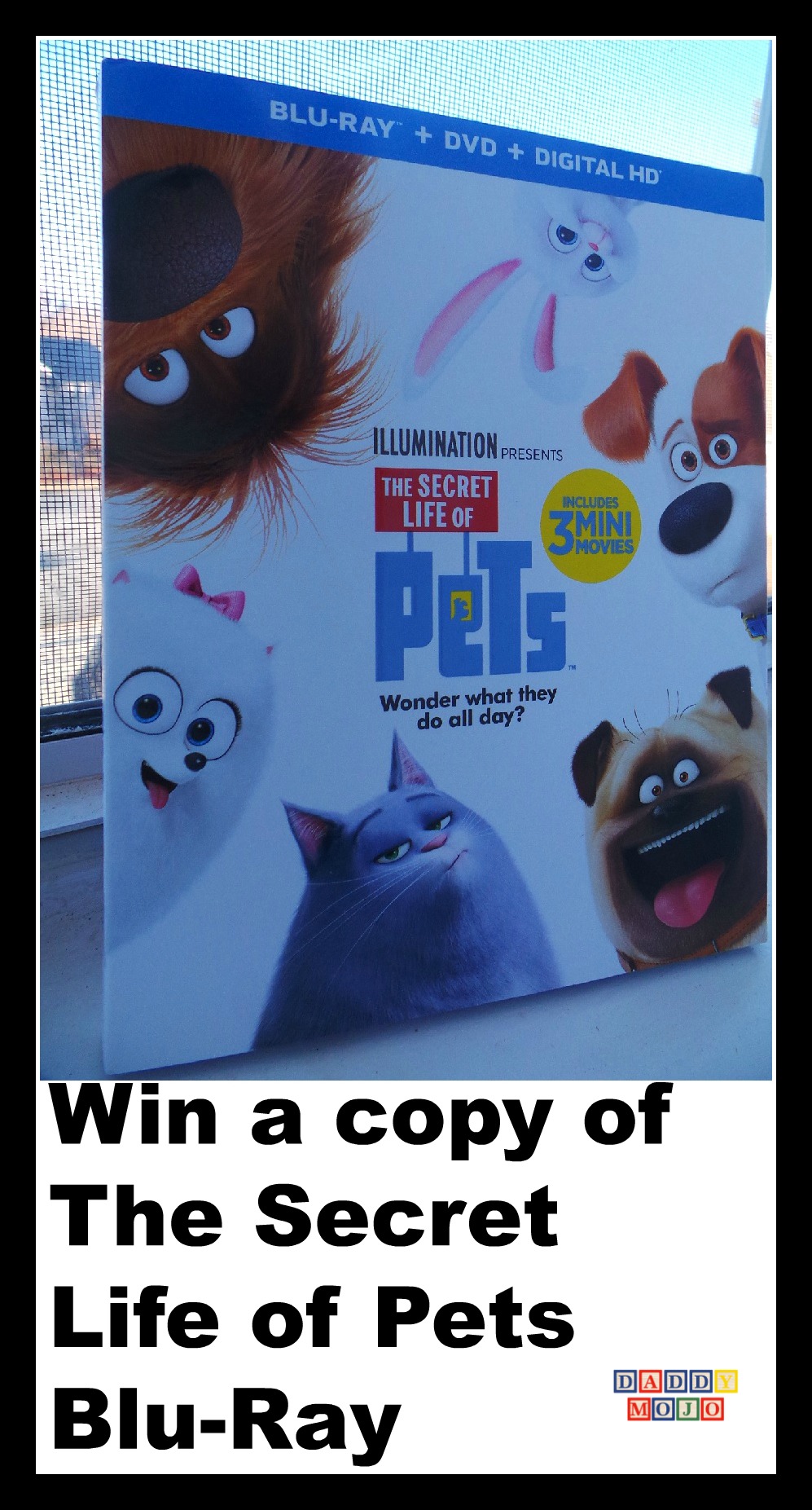 Win a copy of The Secret Life of Pets Blu-Ray