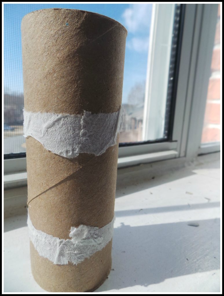 Rocket, toilet paper, toilet paper rolls, national geographic kids, Guinness World Record, 