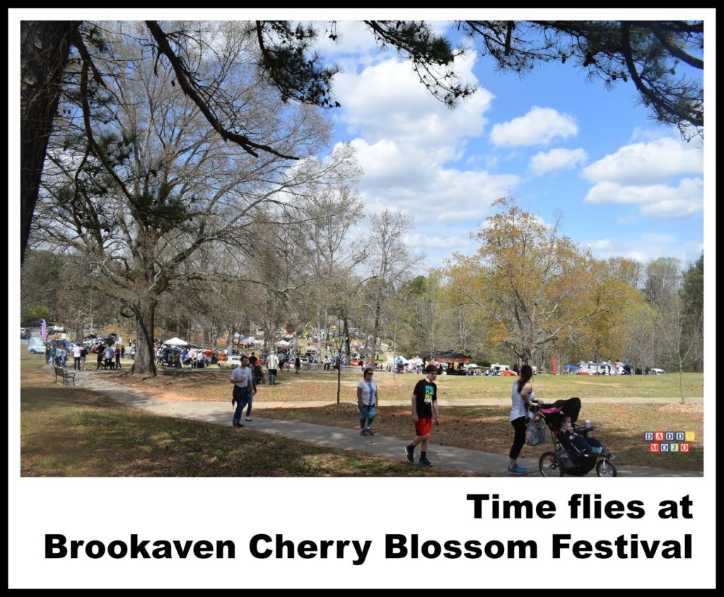 Brookhaven cherry blossom festival, festival, Atlanta, dogs, dog friendly, cherry blossom festival, 