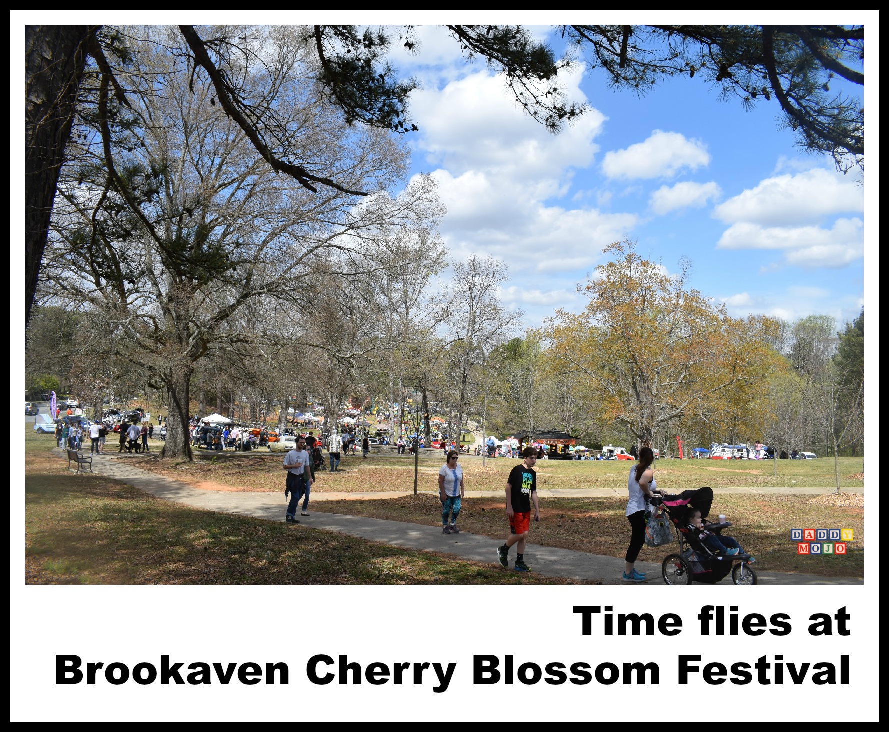 Time flies at Brookaven Cherry Blossom Festival