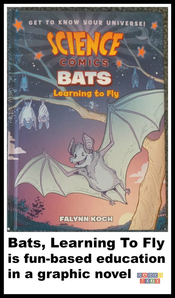 Bats, falynn Koch, veterinarian, science comics, bats learning to fly, 