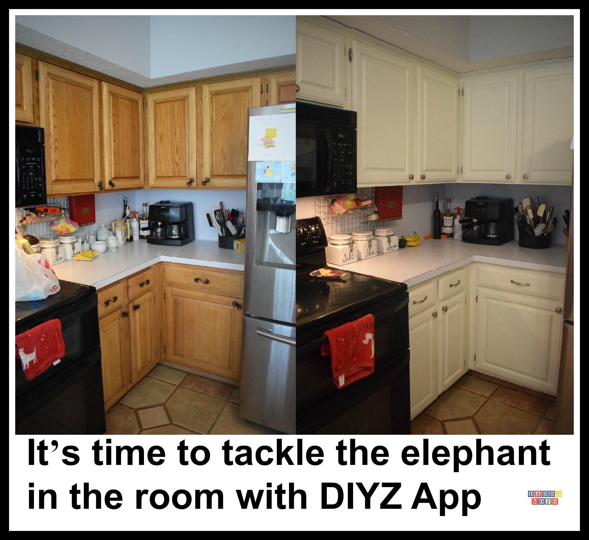 It’s time to tackle the elephant in the room with DIYZ® App