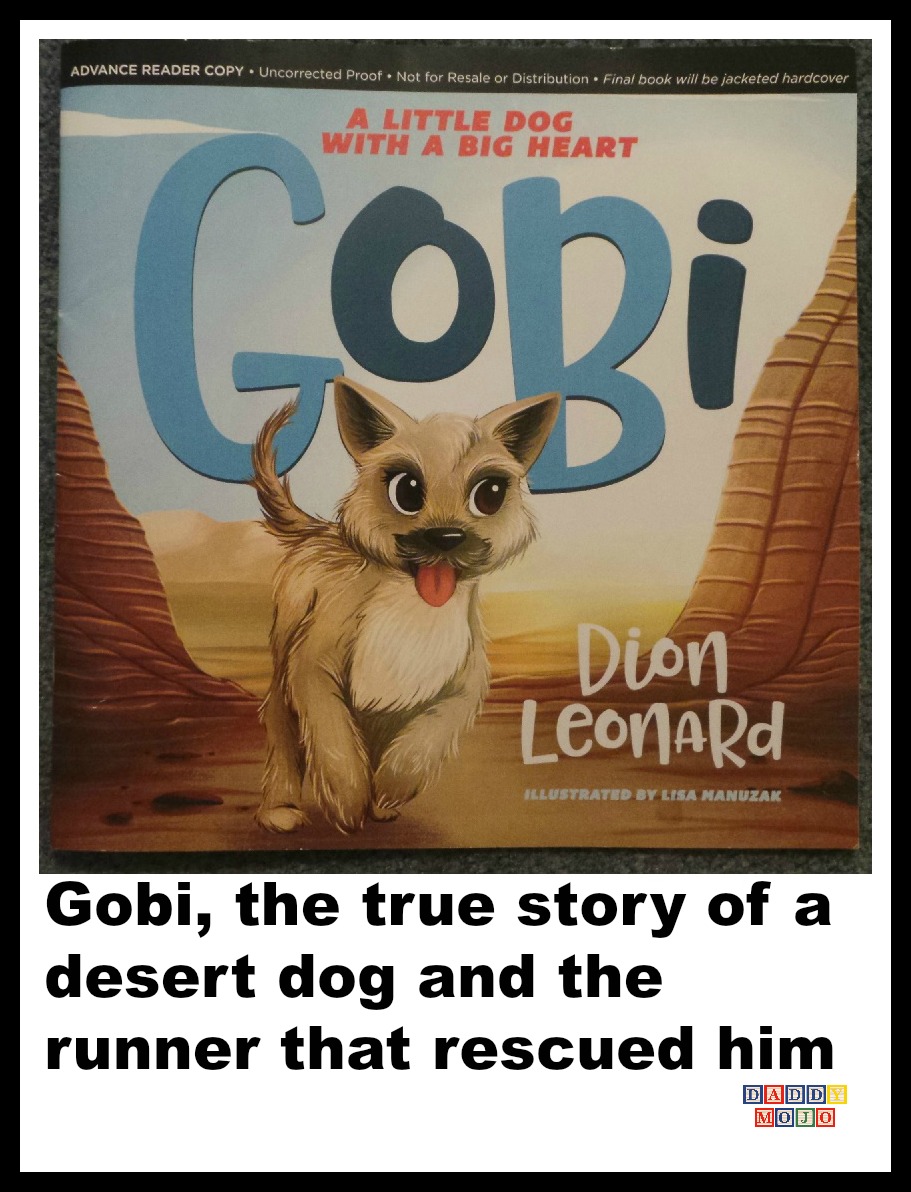 gobi dog book