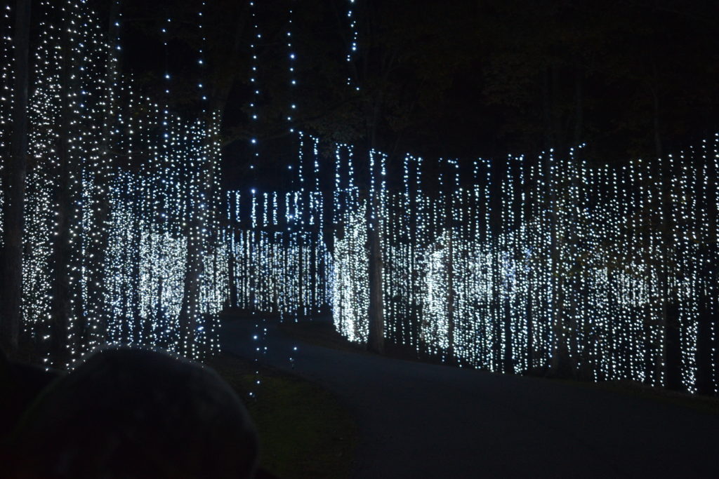 Callaway Gardens, Calloway gardens, season in lights, pine mountain, birds of prey, Cecil B. Day Butterfly Center, butterfly center, festival in lights, light show, 