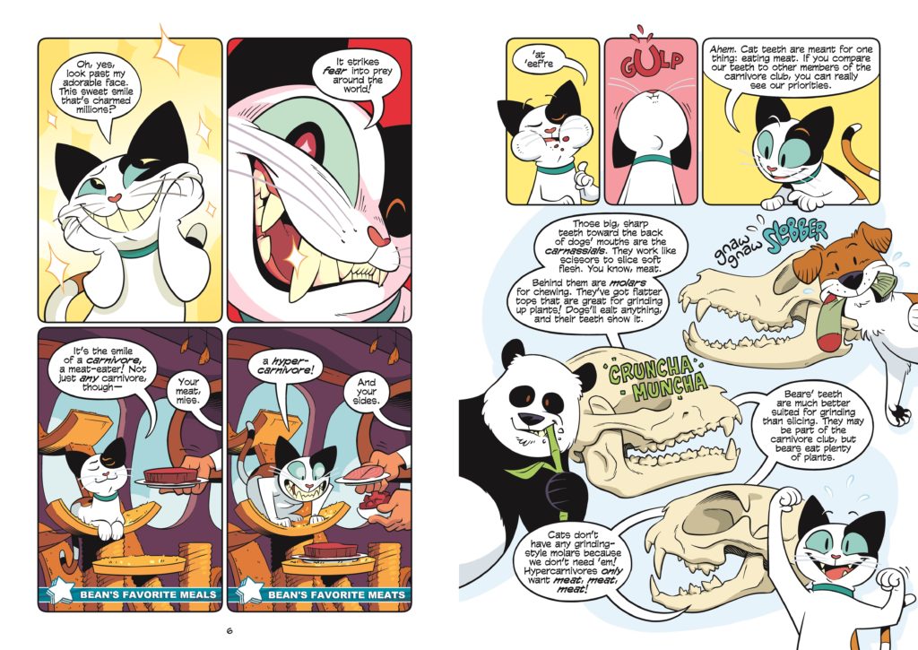 Science Comics: Cats by Andy Hirsch is an entertaining graphic novel masquerading as a cat bio book. Ages 8 and up will laugh, learn and love it.  