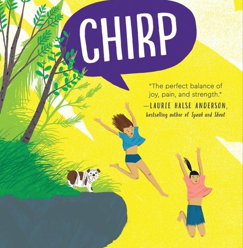 Chirp, middle grade life & mystery, with a side dose of serious