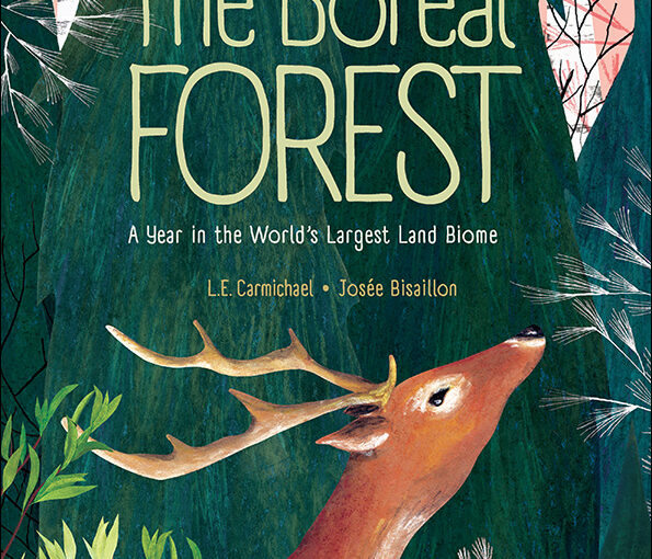 The Boreal Forest is equal part art and education; with text that dances between classroom-esque to a more lyrical style.