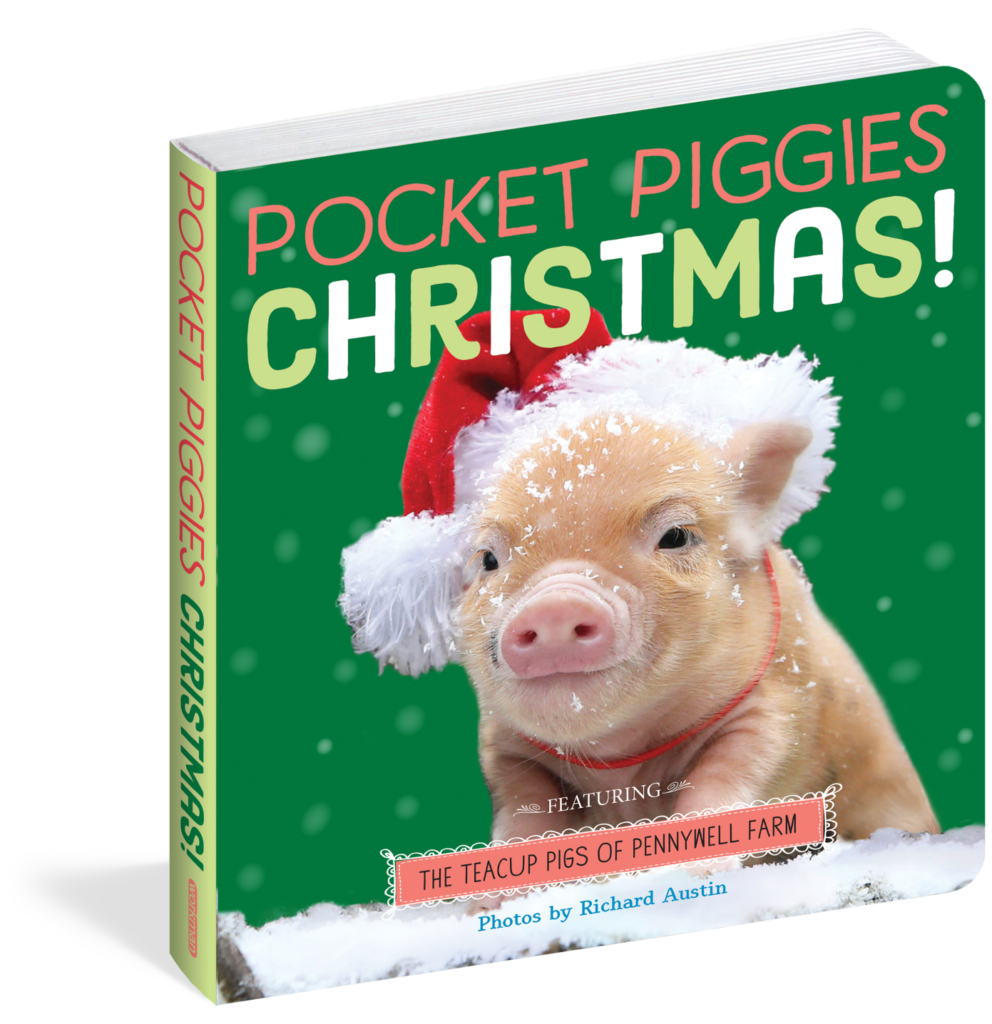 Pocket Piggies Christmas! Is seasonal, board book, comfort food for those newborns through toddlers.