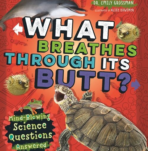 What Breathes Through Its Butt? is fresh air for curious kids