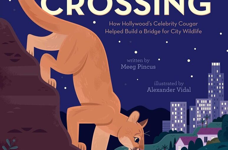 Cougar Crossing is an unlikely book that will interest elementary-aged readers who like fish-out-of-water tales and animal feel-good stories.