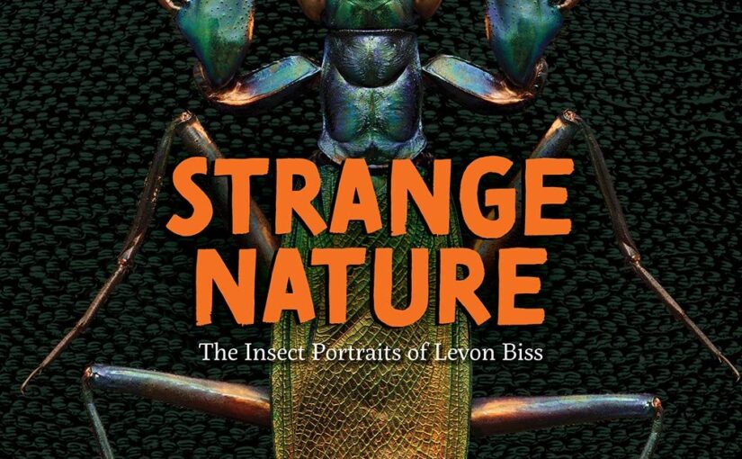 Strange Nature, The Insect Portraits of Levon Biss gets lovingly, close-up in its photos of unique bugs kids want to discover.