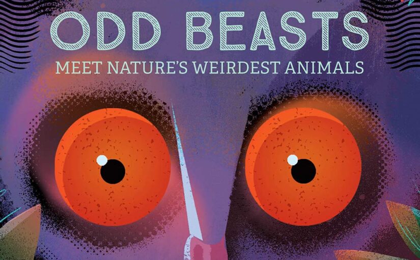 Odd Beasts proves that board books have a life past pre-K