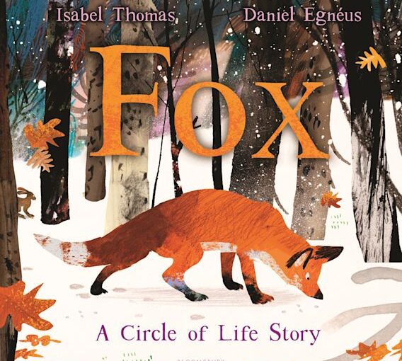 Fox, A Circle of Life Story, Fox A Circle of Life Story, Isabel Thomas, Daniel Egneus, Bloomsbury Children’s Books, illustrated books, Fox book review, Fox A Circle of Live Story review,