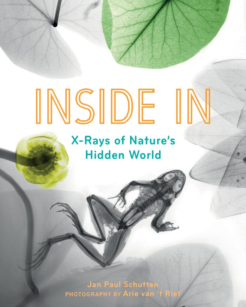 Inside In sounds like a typo, instead, it’s a photo-centric book on X-Rays and how they can show the art of things hidden in plain sight. 