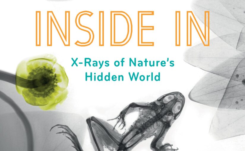 Inside In, is hypnotic photo-oriented STEM for six and up