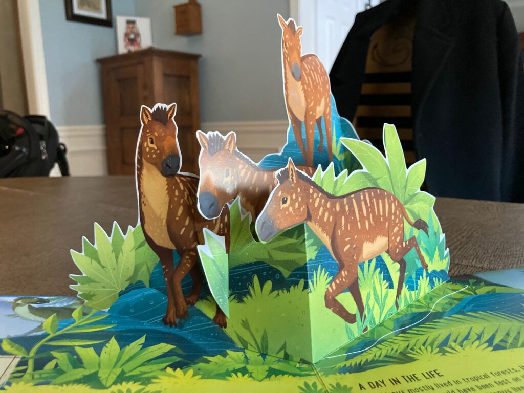 Prehistoric Pets is a pop-up book where the art starts the trip, but the text takes the reader further due to all of the details.