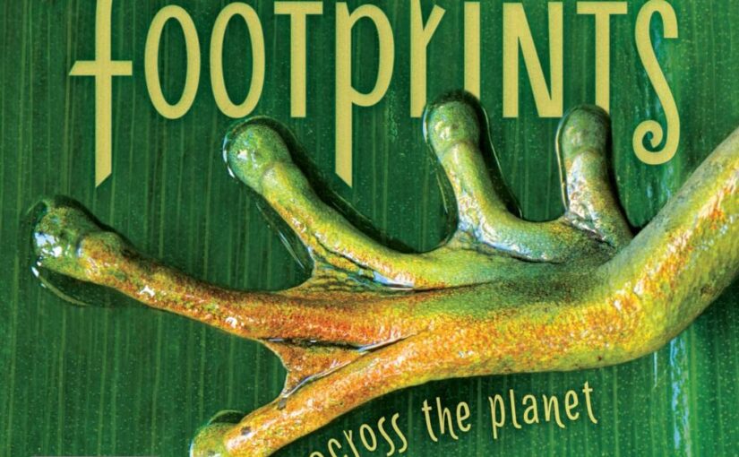 Footprints Across the Planet is a soft picture book on life and impact