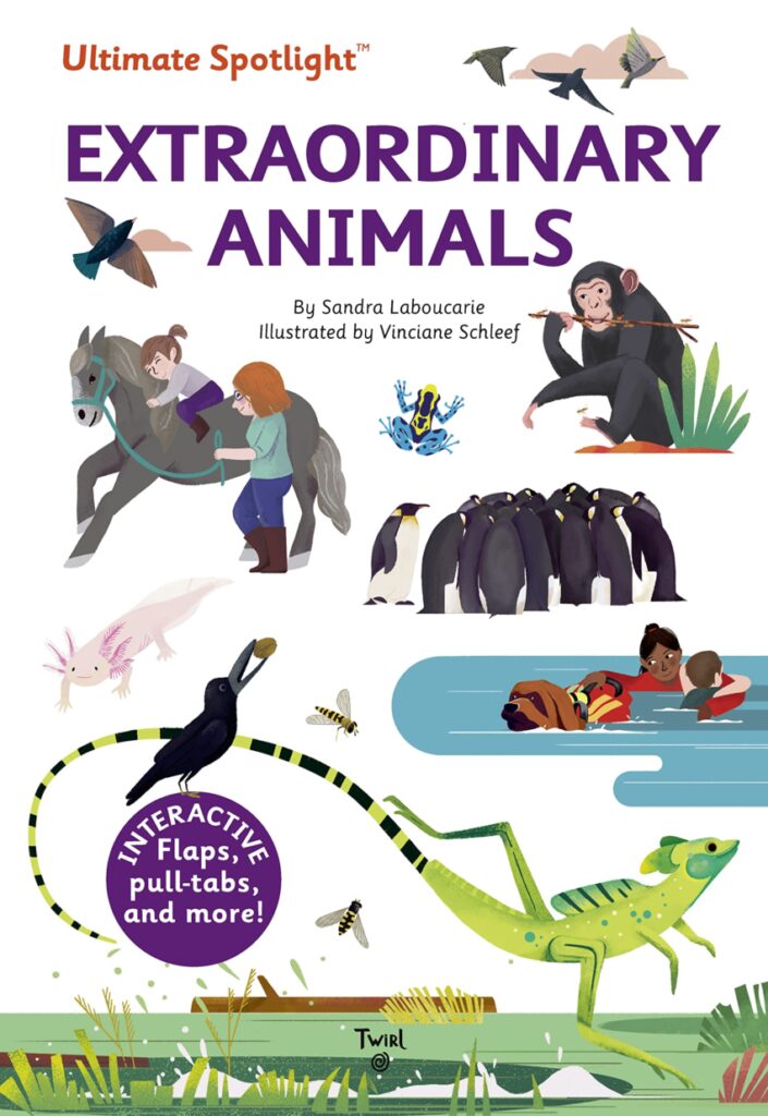 Ultimate Spotlight Extraordinary Animals melds the best parts of an interactive book, board book and STEM curio into one.