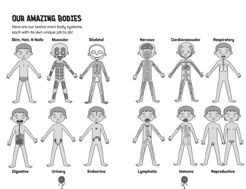 Bodies, Brains & Boogers is the approachable, fun way that ages 8 and up can learn about their bodies with humor and gross, interesting facts.