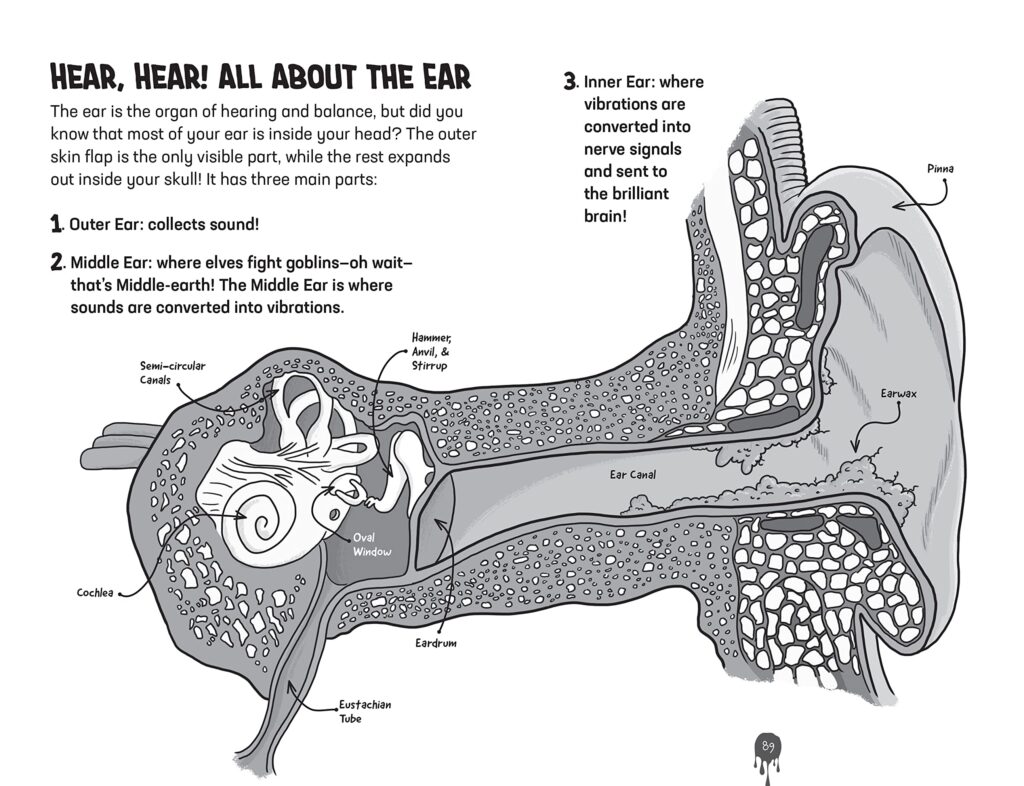 Bodies, Brains & Boogers is the approachable, fun way that ages 8 and up can learn about their bodies with humor and gross, interesting facts.