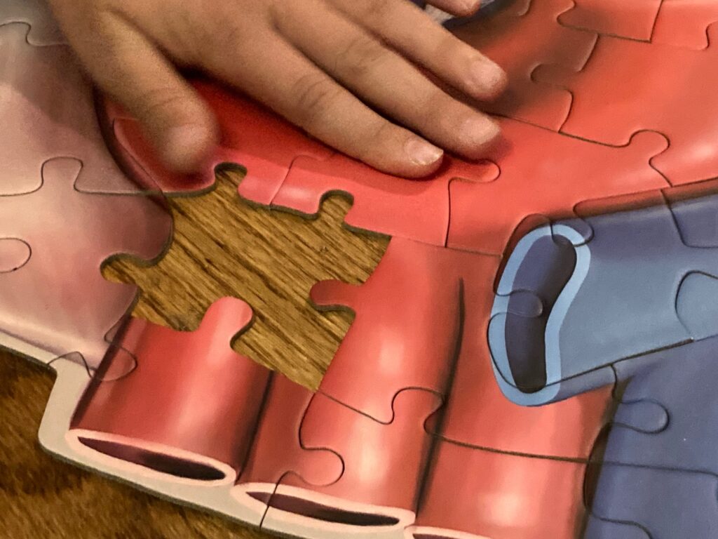 Human Heart Floor Puzzle for kids from Dr. Livingston puts it together